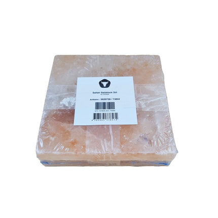 DRY AGER Salzblock Saltair Himalaya für DX 500 - Salmgastro Onlineshop-8157654-Lava Landig Dry Ager-