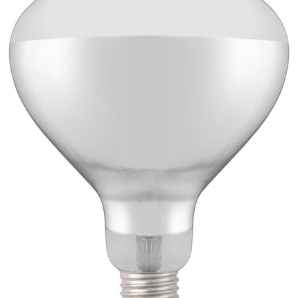 Infrarot-Glühlampe, HENDI, 230V/250W, ø125x(H)170mm - Salmgastro Onlineshop-919200-Hendi-8711369919200