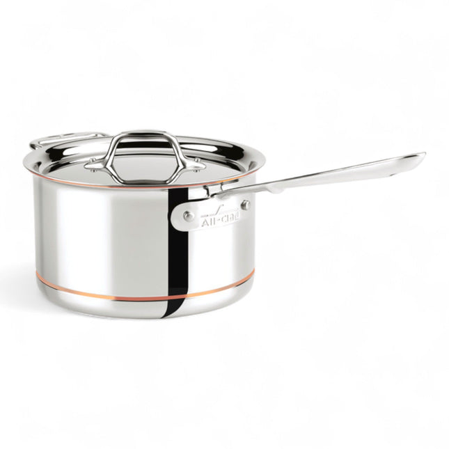 1 Stück Hepp All-Clad Stielkasserolle Ø20cm Copp-Core