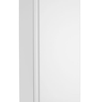 Arktic Gefrierschrank in weiß lackiertem Stahlgehäuse – Budget Line – 260 l – 230 V / 280 W – 639 × 600 × H 1875 mm – Weitere Produktansicht