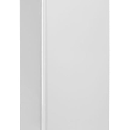 Arktic Gefrierschrank in weiß lackiertem Stahlgehäuse – Budget Line – 455 l – 230 V / 350 W – 744 × 775 × H 1900 mm – Weitere Produktansicht
