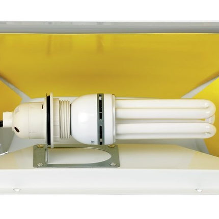 Insect trap IF-92