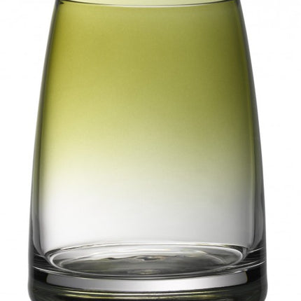 6 Stück WMF Wasserglas DIVINE COLOR oliv
