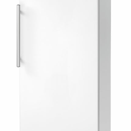 Bartscher Lagerkühlschrank 350