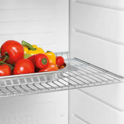 Bartscher Lagerkühlschrank 350