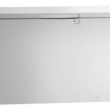 Tiefkühltruhe 391-W