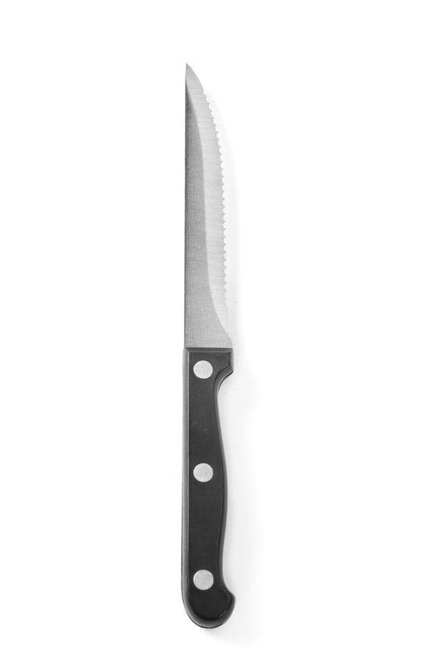HENDI Steakmesser – Profi Line – Schwarz – 210 mm – 6 Stück – Produktansicht