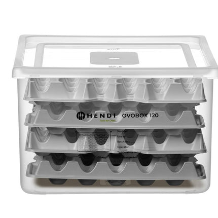 HENDI Eierbehälter OVOBOX 120 – GN 2 / 3 – 18 l – Rechteckig – 355 × 325 × H 200 mm – Weitere Produktansicht