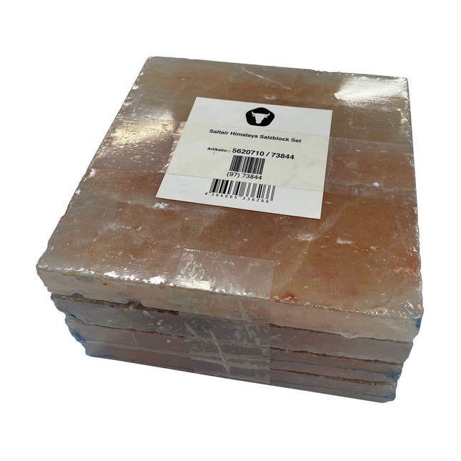 DRY AGER Salzblock Saltair Himalaya für DX 1000 - Salmgastro Onlineshop-8157447-Lava Landig Dry Ager-